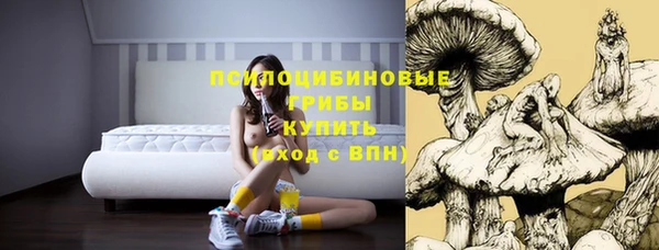 кокаин Белокуриха