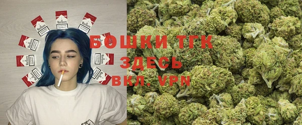 индика Беломорск