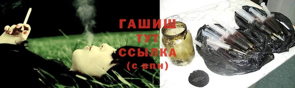 индика Беломорск