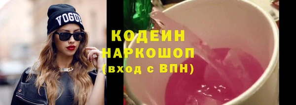 индика Беломорск