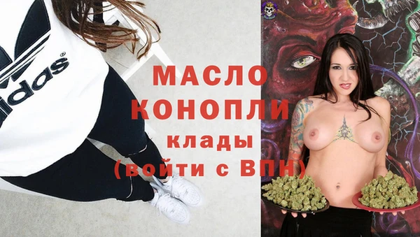 индика Беломорск