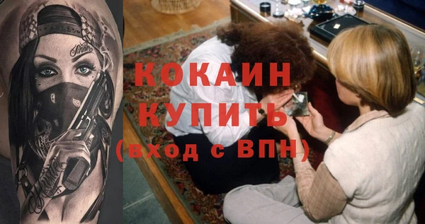 индика Беломорск