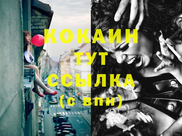 индика Беломорск