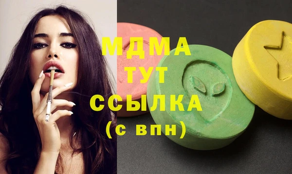 индика Беломорск
